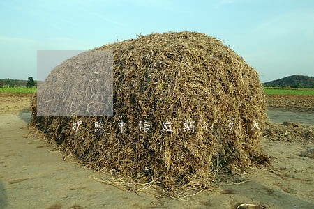 护照中信逾期15天 护照中信逾期15天