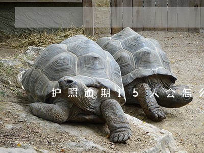 护照逾期15天会怎么样 护照逾期15天会怎么样