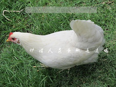 护理人员兼职违法吗 护理人员兼职违法吗