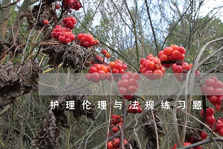 护理伦理与法规练习题 护理伦理与法规练习题