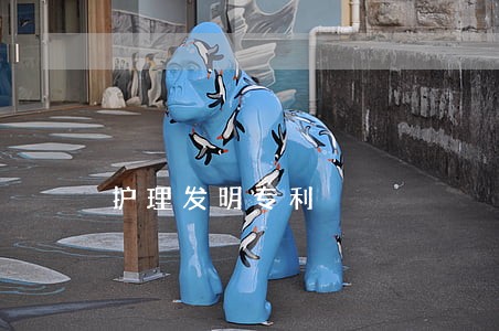 护理发明专利 护理发明专利