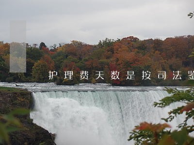 护理费天数是按司法鉴定书上定的 护理费天数是按司法鉴定书上定的