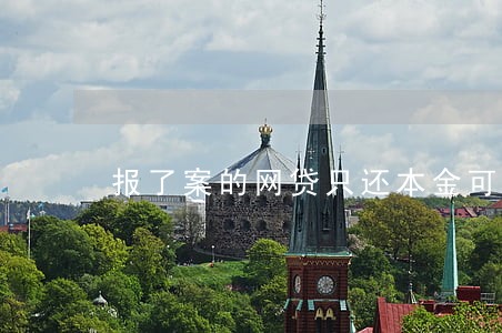 报了案的网贷只还本金可以吗 报了案的网贷只还本金可以吗