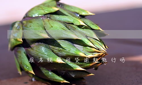 报名辅警网贷逾期能行吗 报名辅警网贷逾期能行吗