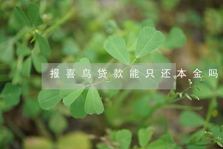报喜鸟贷款能只还本金吗 报喜鸟贷款能只还本金吗