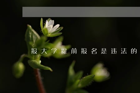 报大学提前报名是违法的吗