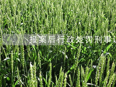 报案后行政处罚刑事诉讼时效 报案后行政处罚刑事诉讼时效