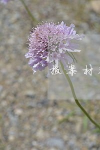 报案材料信用卡逾期 报案材料信用卡逾期