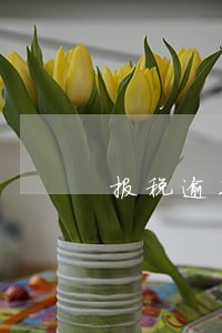 报税逾期10个月 报税逾期10个月