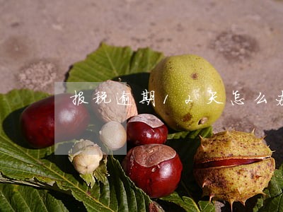 报税逾期12天怎么办 报税逾期12天怎么办