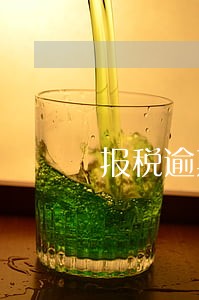 报税逾期15天怎么办 报税逾期15天怎么办