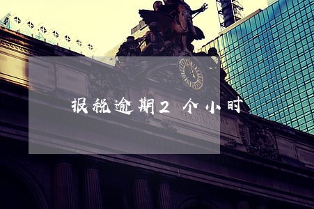 报税逾期2个小时 报税逾期2个小时