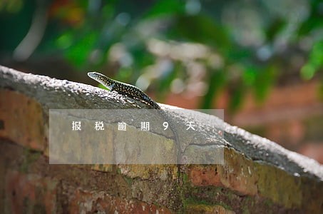 报税逾期9天 报税逾期9天