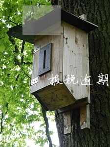 报税逾期信用受限