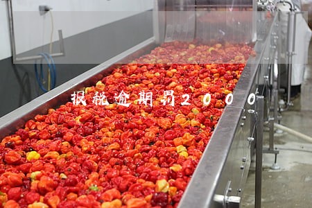 报税逾期罚2000 报税逾期罚2000