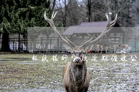 报纸银行贷款逾期催收公告 报纸银行贷款逾期催收公告