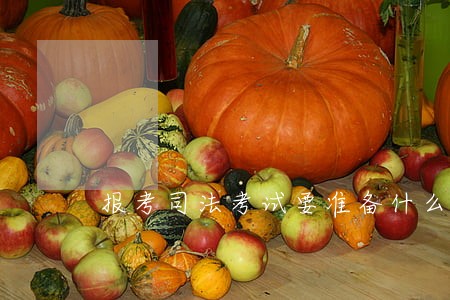 报考司法考试要准备什么材料 报考司法考试要准备什么材料