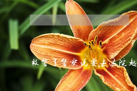 报警了警察说要去法院起诉 报警了警察说要去法院起诉