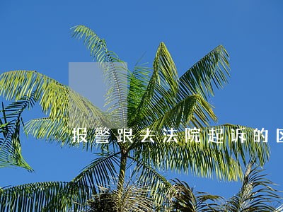 报警跟去法院起诉的区别 报警跟去法院起诉的区别
