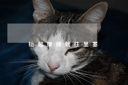 抬起律师就往里塞 抬起律师就往里塞