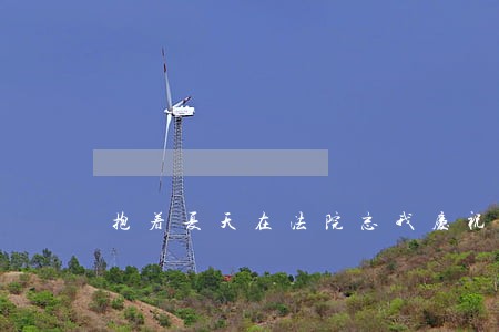 抱着夏天在法院忘我庆祝 抱着夏天在法院忘我庆祝