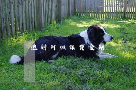 抱财网担保贷逾期 抱财网担保贷逾期