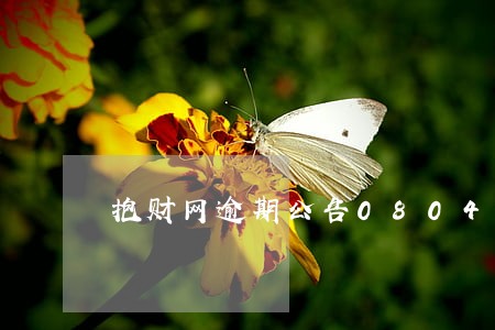 抱财网逾期公告0804 抱财网逾期公告0804