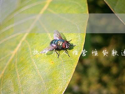 抵押个人经营性贷款逾期 抵押个人经营性贷款逾期