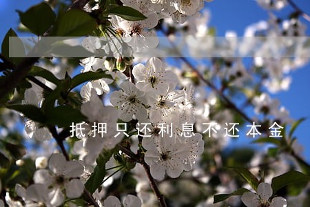 抵押只还利息不还本金 抵押只还利息不还本金