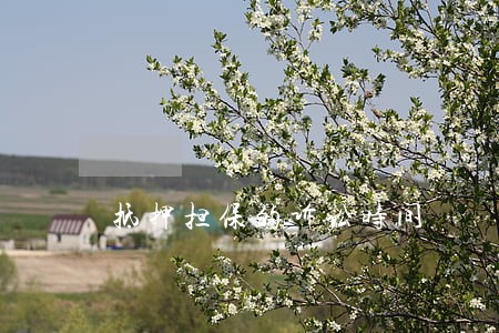 抵押担保的诉讼时间 抵押担保的诉讼时间
