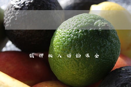 抵押权人诉讼保全 抵押权人诉讼保全