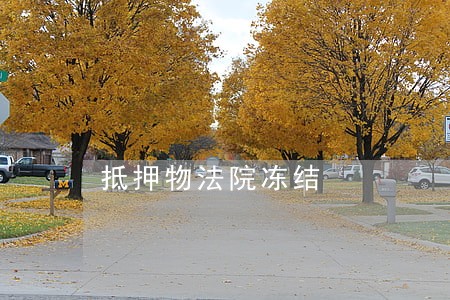 抵押物法院冻结