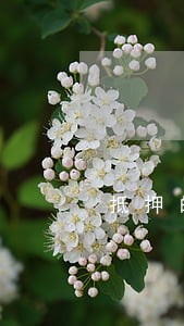 抵押的房产法院为什么不拍卖 抵押的房产法院为什么不拍卖