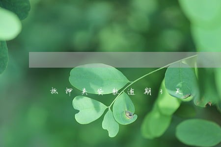 抵押类贷款逾期3天 抵押类贷款逾期3天
