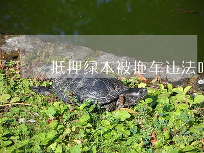 抵押绿本被拖车违法吗