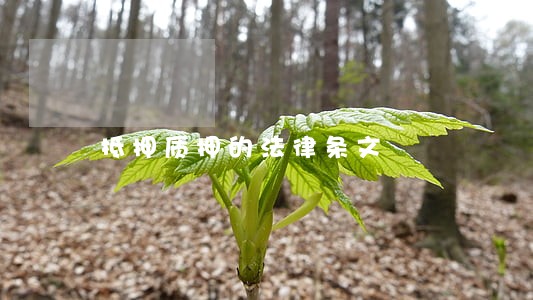 抵押质押的法律条文