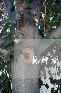 抵押贷期间信用卡逾期
