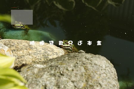 抵押贷款只还本金