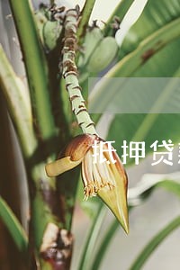 抵押贷款对逾期的要求 抵押贷款对逾期的要求