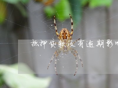 抵押贷款没有逾期影响征信 抵押贷款没有逾期影响征信