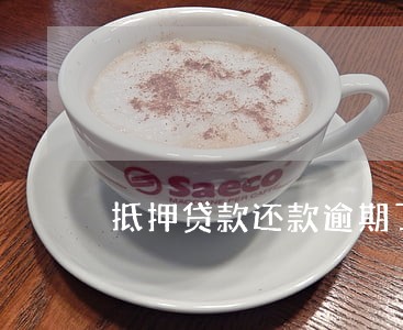 抵押贷款还款逾期了 抵押贷款还款逾期了