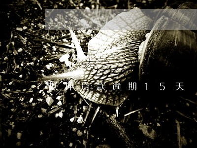 抵押贷款逾期15天 抵押贷款逾期15天