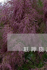 抵押贷款逾期15天逾期 抵押贷款逾期15天逾期