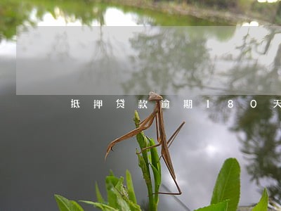 抵押贷款逾期180天 抵押贷款逾期180天
