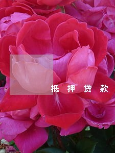抵押贷款逾期2期才还清 抵押贷款逾期2期才还清