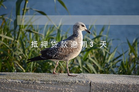抵押贷款逾期3天 抵押贷款逾期3天