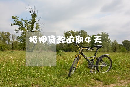 抵押贷款逾期4天 抵押贷款逾期4天