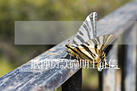 抵押贷款逾期上征信