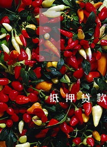 抵押贷款逾期利率是多少 抵押贷款逾期利率是多少