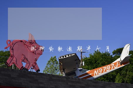 抵押贷款逾期半个月 抵押贷款逾期半个月